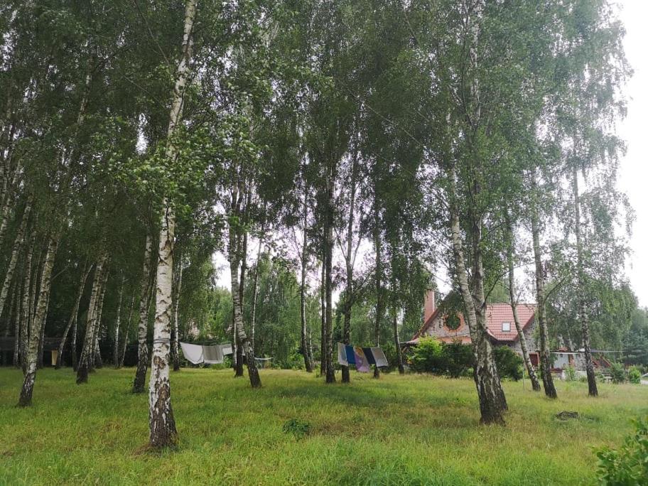 Brzozowy Zaulek Apartment Bydlino Luaran gambar